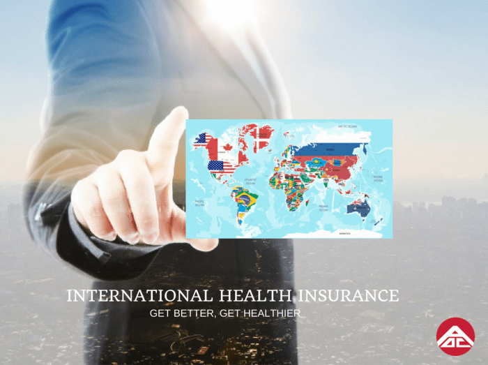 Insurance health expatriates fits private public ensuring necessary committing overseas essentials before life vista care vs