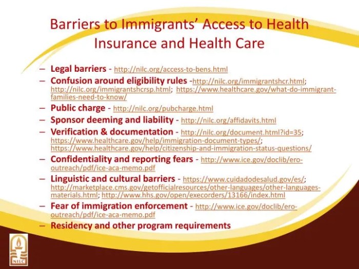Insurance immigrants immigrant
