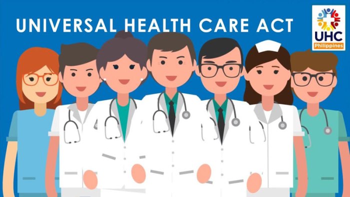 Universal health care healthcare achieve options different